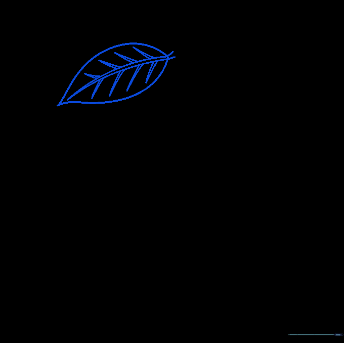 Drawing a detailed leaf on the avocado stem with visible veins.