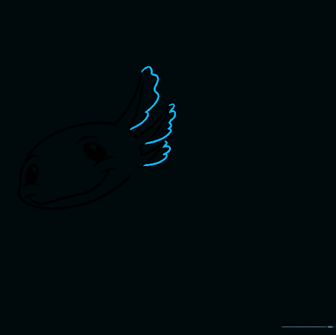 Drawing showing the addition of wavy gill filaments on one side of the axolotl head.