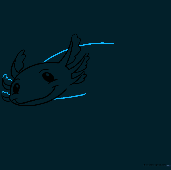Pencil sketch showing the long, curved body lines extending from the axolotl head.