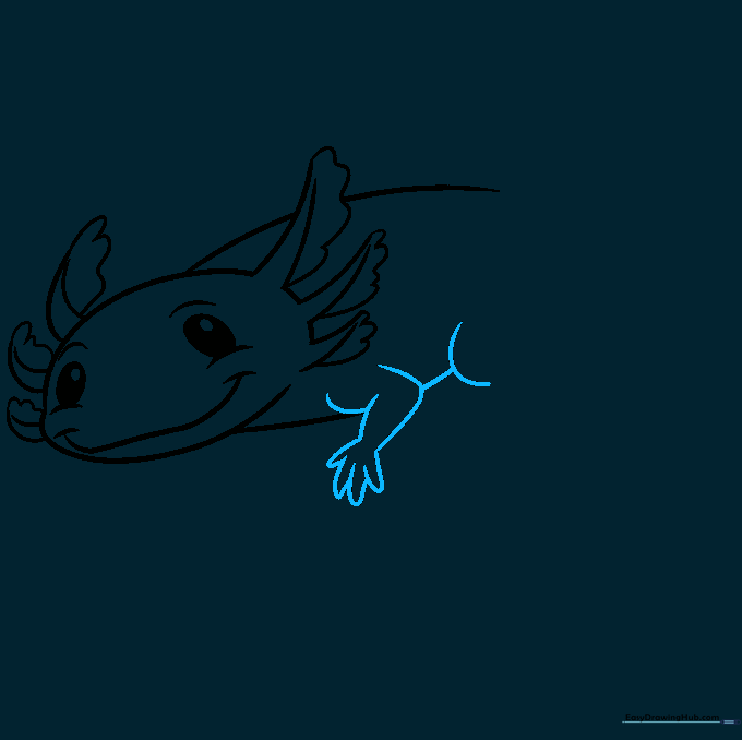 Drawing showing the addition of front legs and small, stubby fingers on the axolotl body.