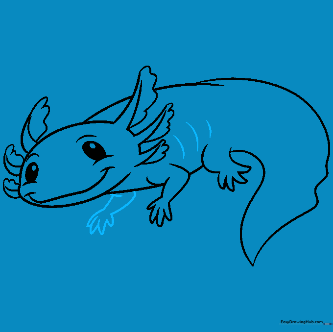 Drawing showing the addition of body contour lines and the second front leg.