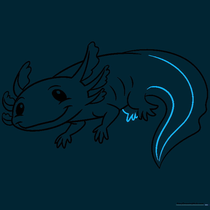 Final pencil sketch of the axolotl with all body parts and tail details completed.