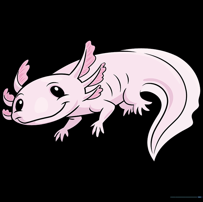 A fully colored, cute cartoon axolotl with a pink body and vibrant red gills.