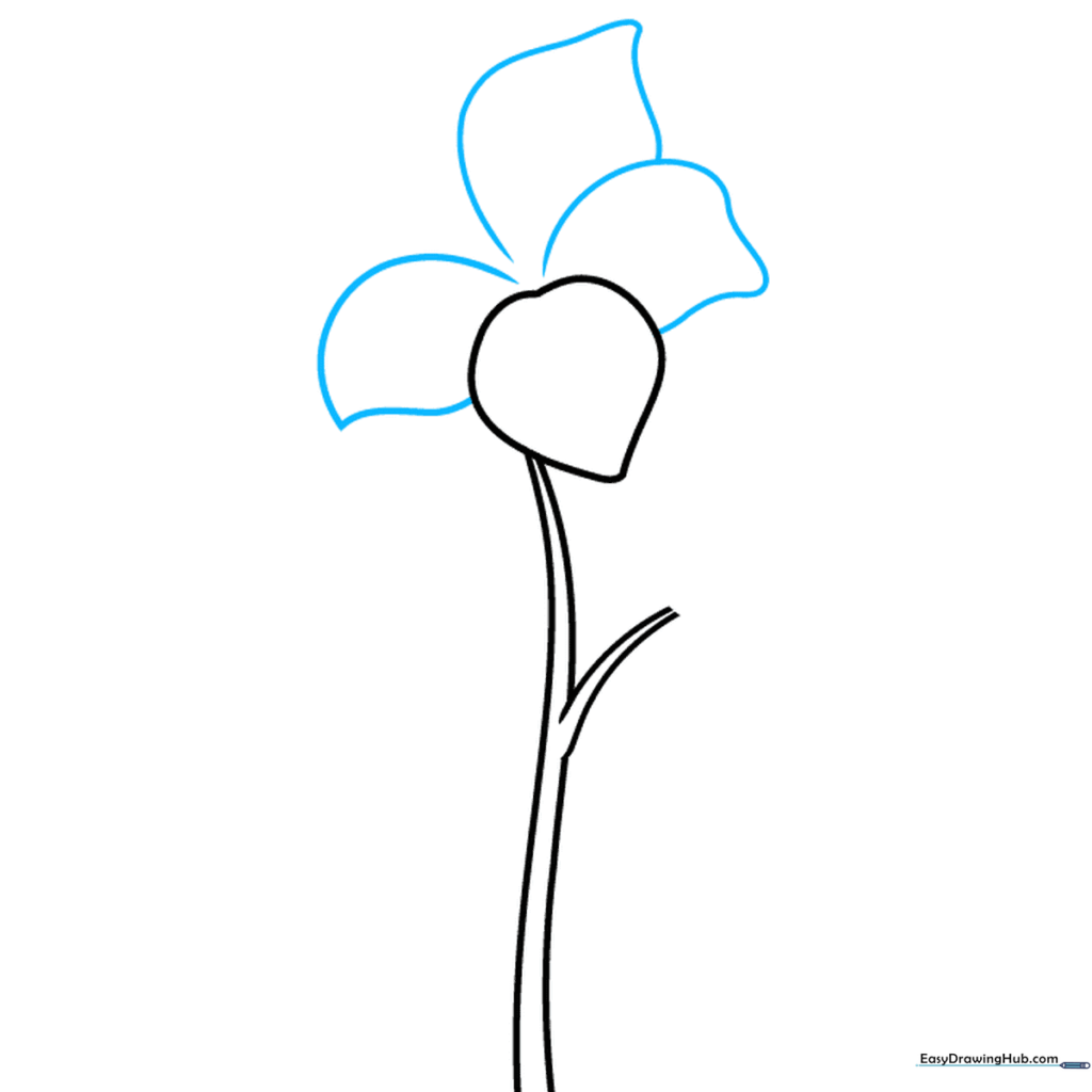 Drawing showing additional wavy petal shapes surrounding the initial central petal.