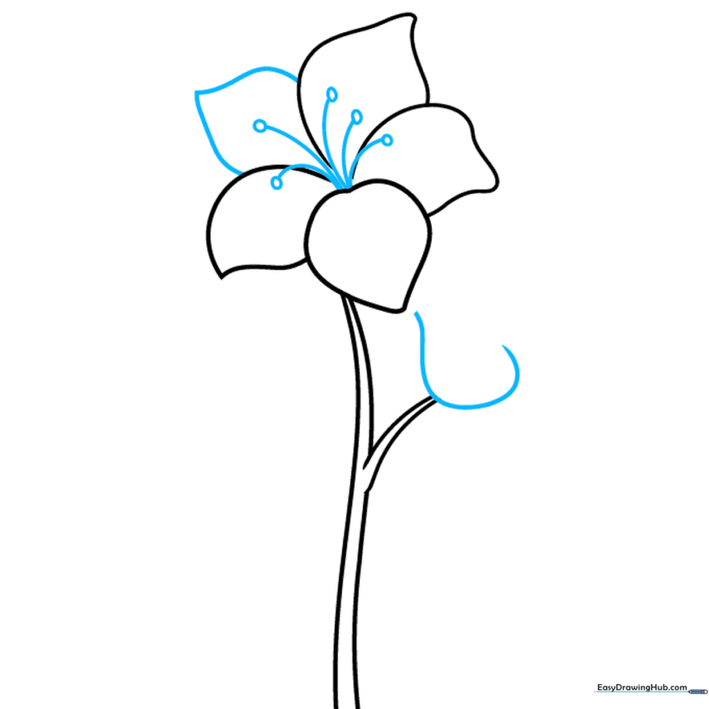 Close-up of the flower center showing five thin lines topped with small ovals representing stamens.