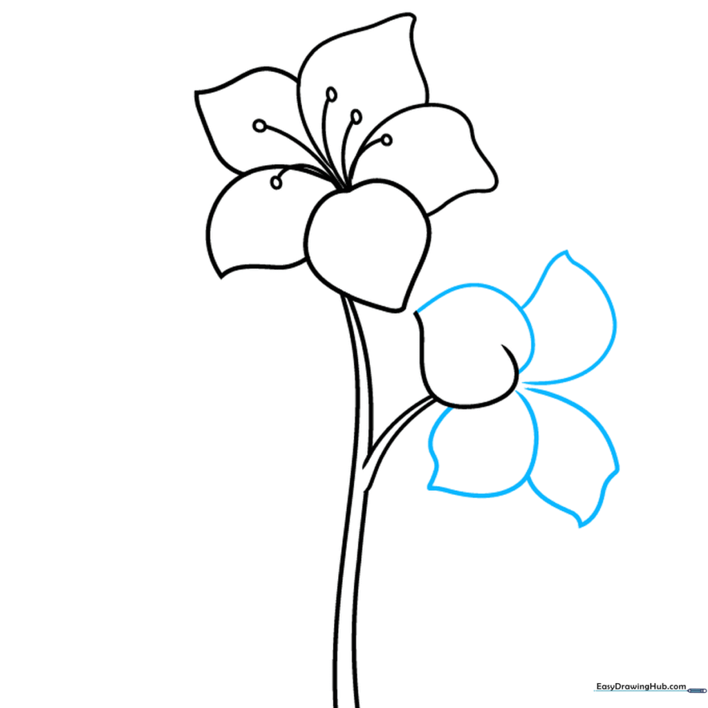 Sketching a second flower cluster with a central heart-shaped petal and surrounding petals.
