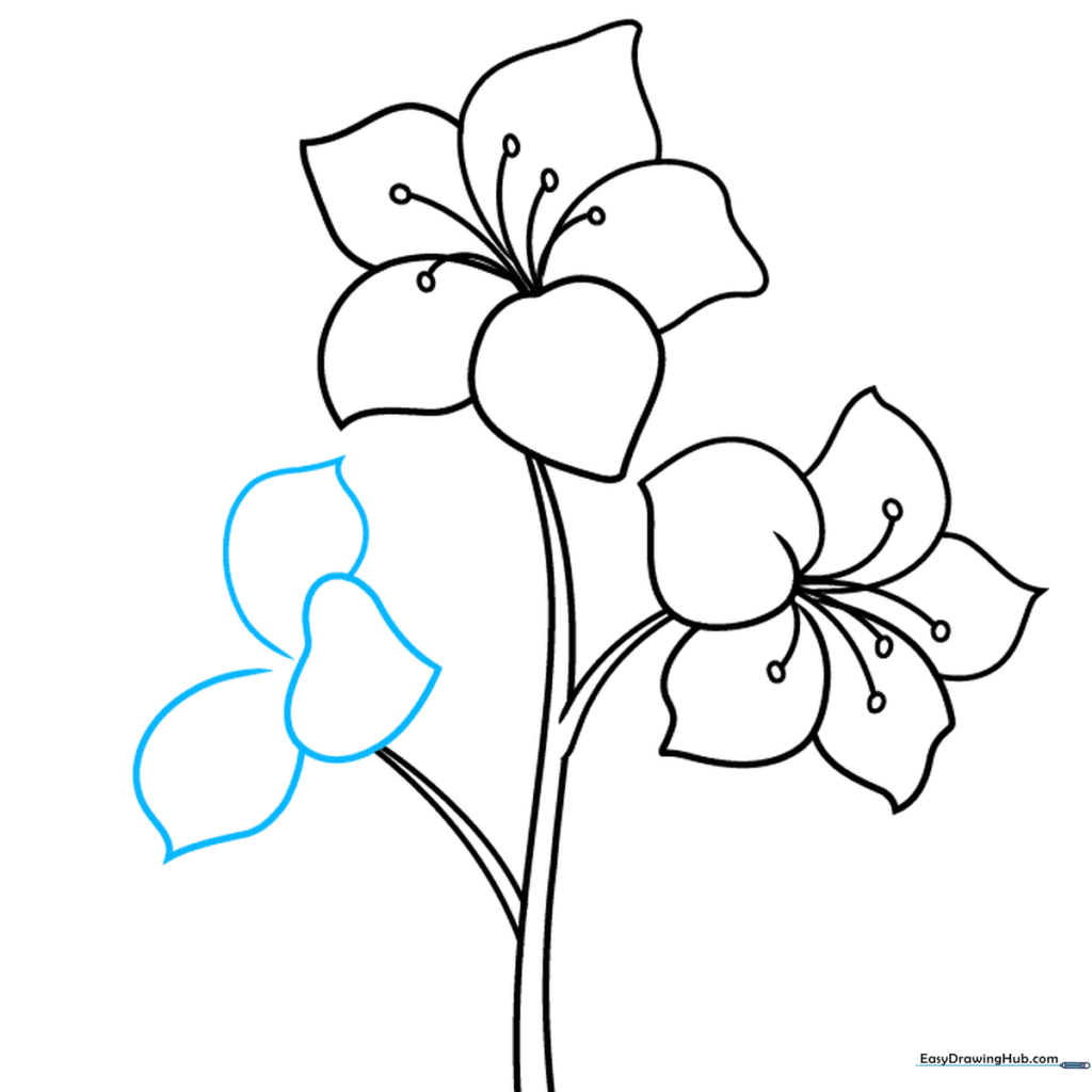 Drawing a third, partially visible flower on a new branch.