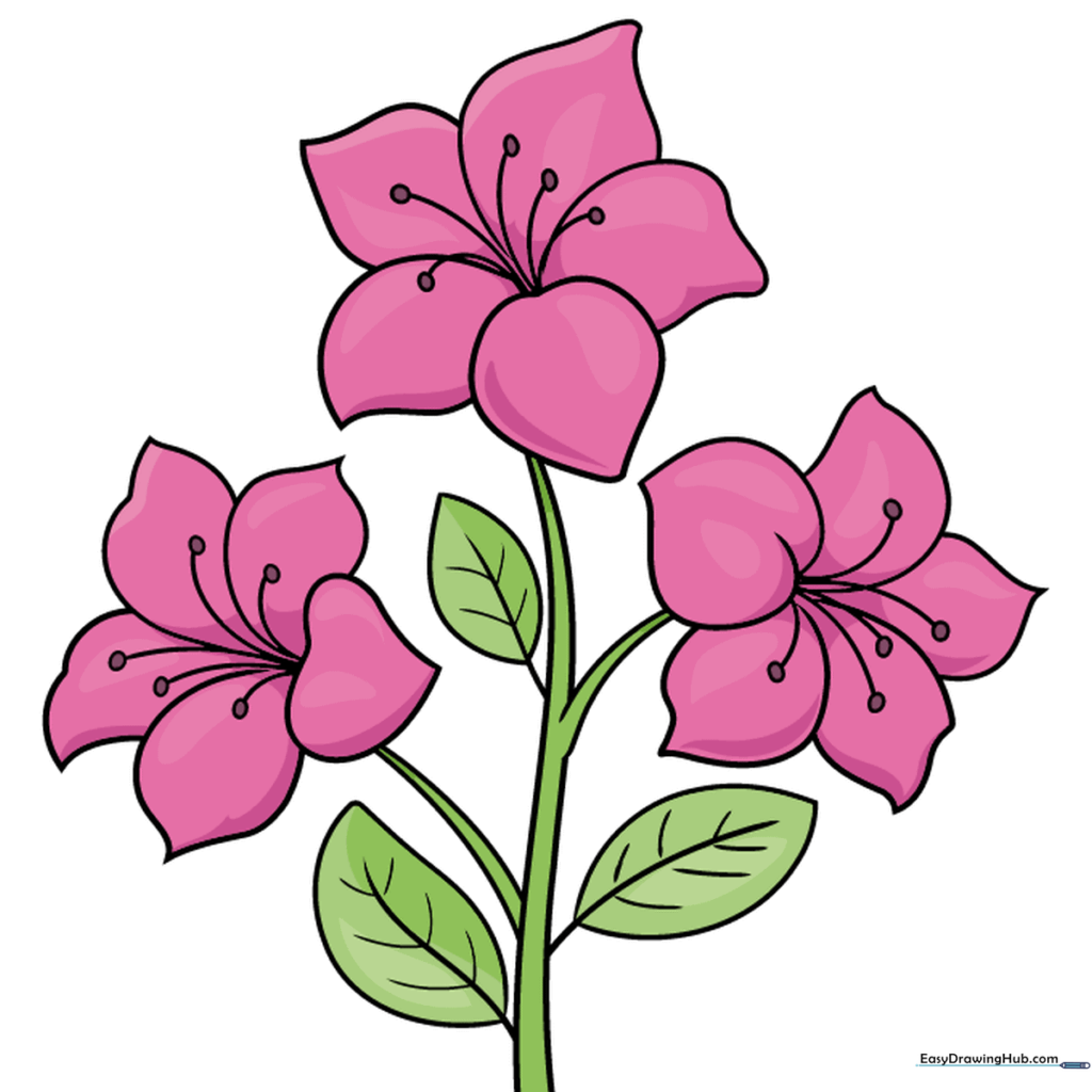 Finished, colored azalea drawing with vibrant pink petals and green leaves.