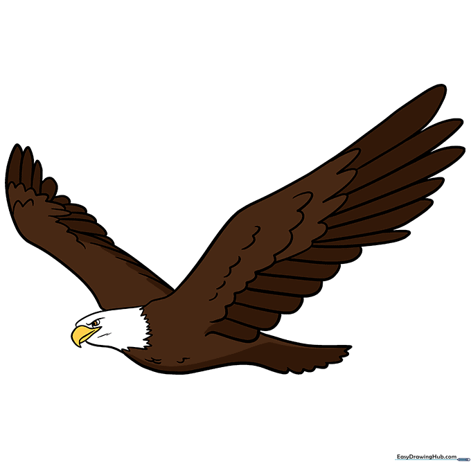 A fully colored, majestic bald eagle drawing with yellow beak and brown plumage.