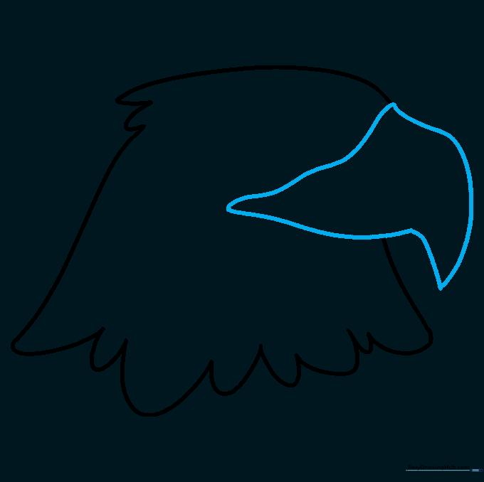 Drawing the sharp, curved upper beak of an eagle with a pencil.