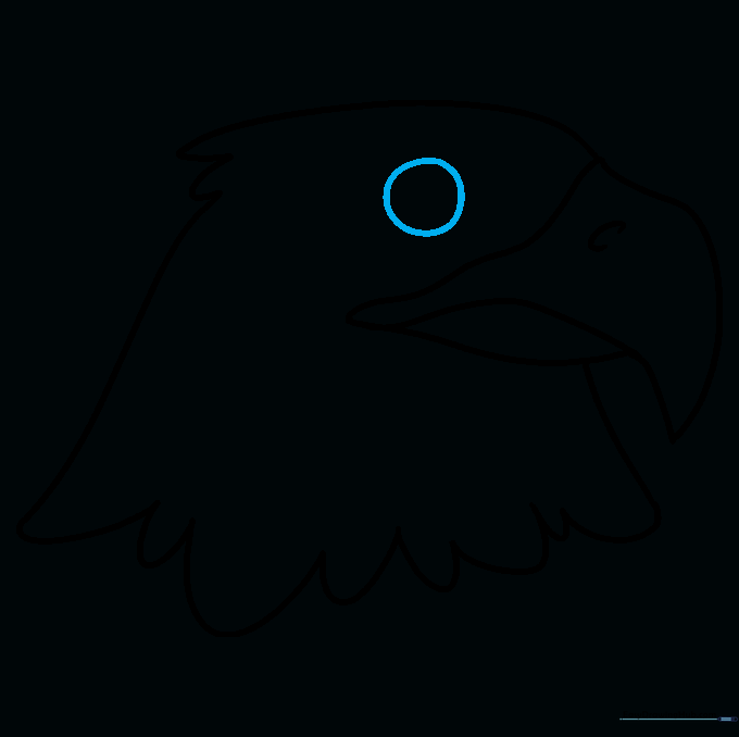 Drawing a simple circle to represent the eagle's eye.