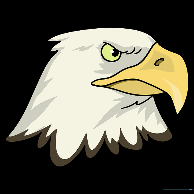 A finished, colored cartoon eagle head with yellow beak and white feathers.
