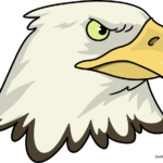 A vibrant, completed drawing of an eagle head, showcasing the final result of the tutorial.