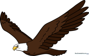 A vibrant, finished eagle drawing showcasing the final result of the tutorial.