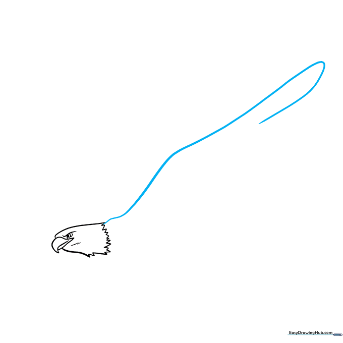 Pencil outline showing the start of the eagle's primary wing feather.