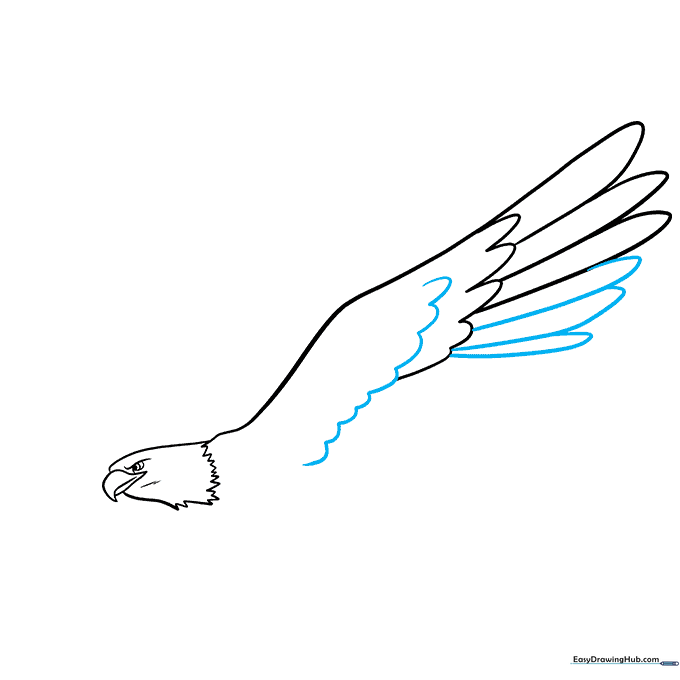 Adding a second layer of feathers to the eagle's wing for added detail.