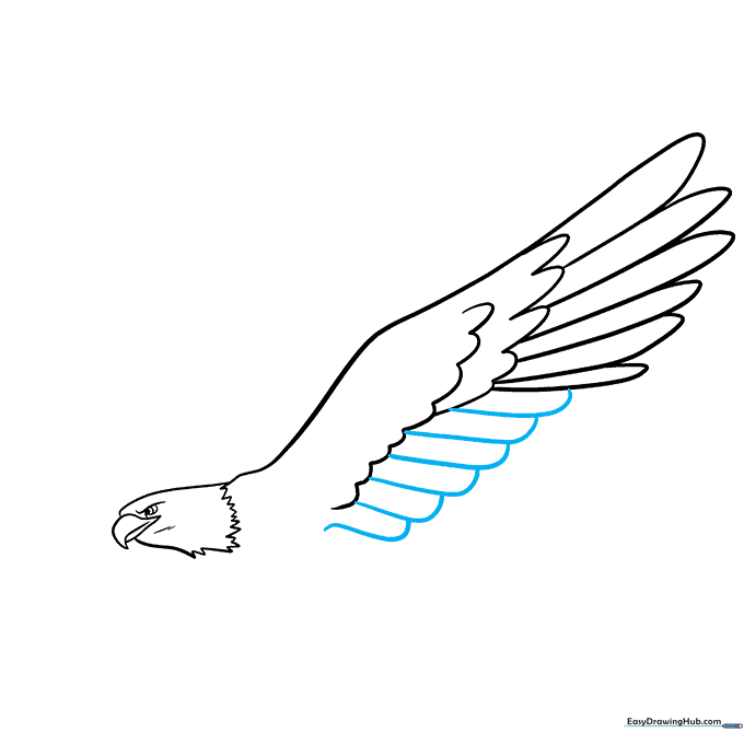 Completing the trailing edge of the eagle's wing with overlapping curved lines.
