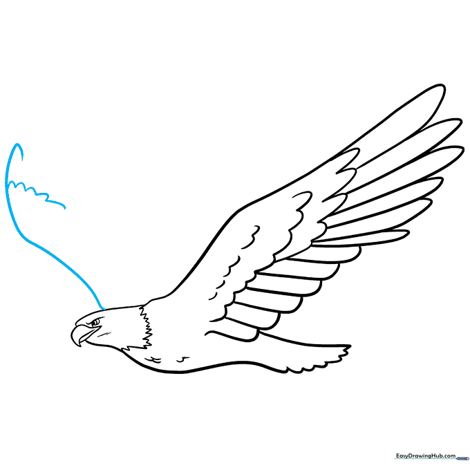 Drawing the second wing of the eagle to show depth and perspective.