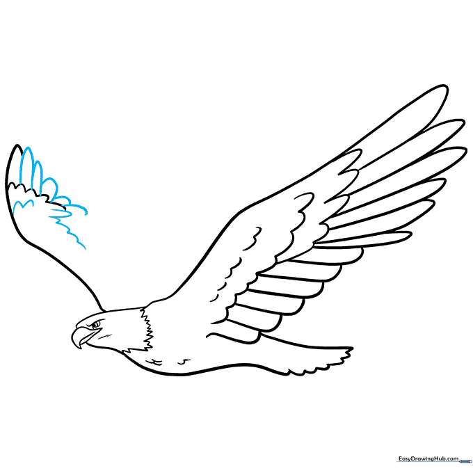 Adding intricate feather details to the second wing of the eagle drawing.