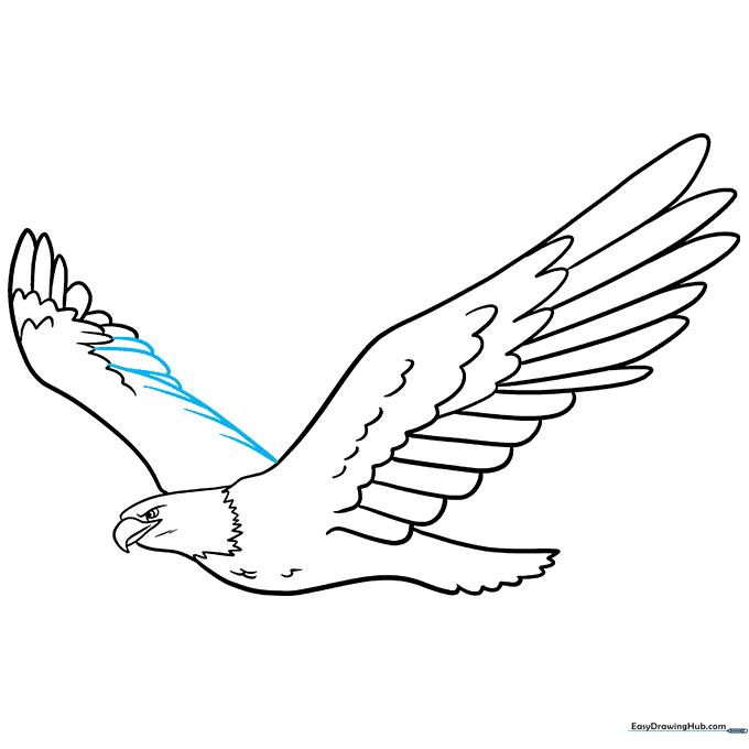 Finalizing the eagle's outline and cleaning up the sketch.