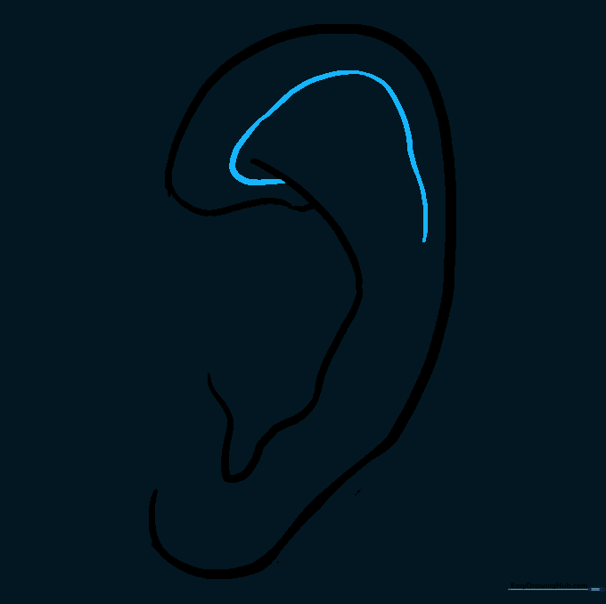 An additional curved line added to the top interior of the ear to show the helix fold.