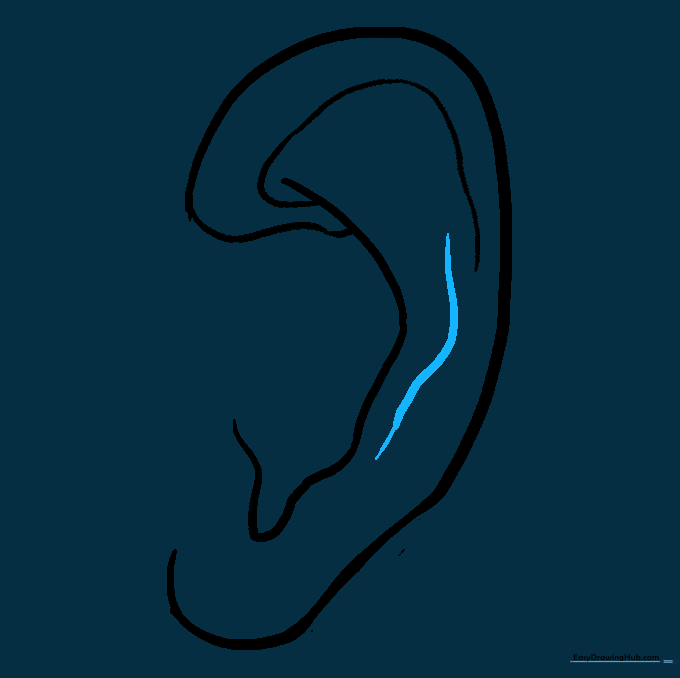 A central curved line added to the ear to create a sense of depth.