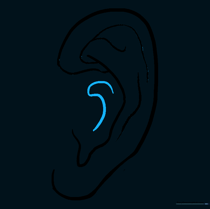 An S-shaped line drawn in the center of the ear to indicate the ear canal opening.