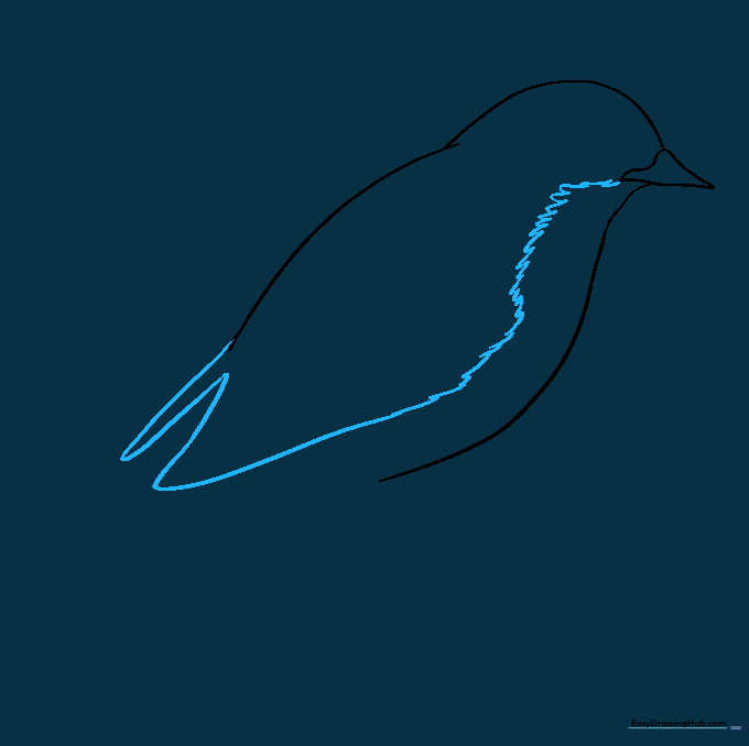 Adding wing detail with a W-shaped line and U-shaped feather patterns on the bluebird's back.