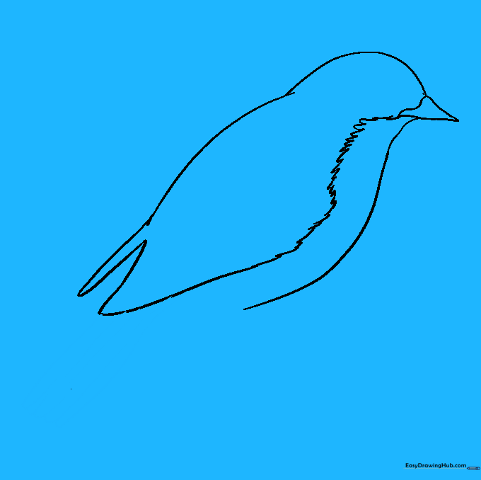 Sketching the long tail feathers using parallel lines and small U-shaped ends.