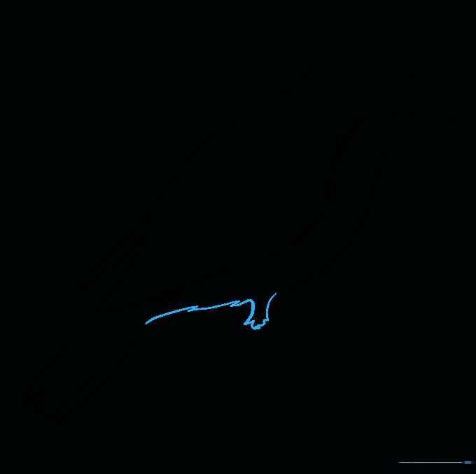 Connecting the belly to the tail with jagged lines and sketching the start of the upper leg.