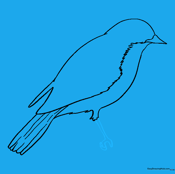 Detailing the bird's foot with claws and a U-shaped grip.
