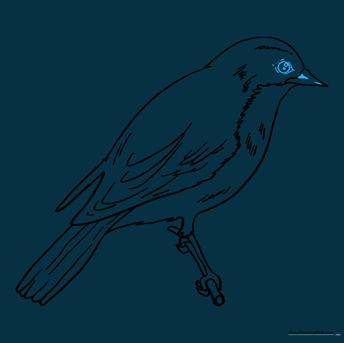 Adding the final eye detail and facial markings to the bluebird.