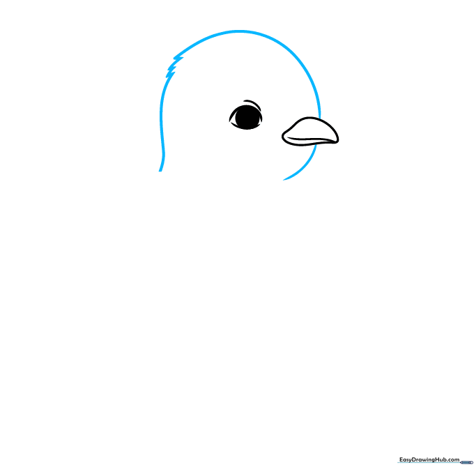 Outlining the rounded head of the penguin with fuzzy texture lines at the back.