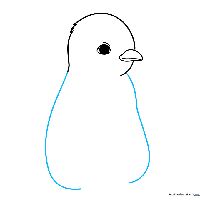Adding the long, curved body lines to the penguin sketch.
