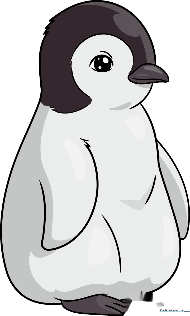 A cute, finished baby penguin illustration, perfect for kids to learn from.