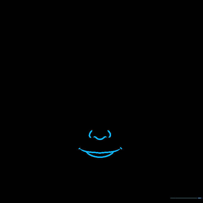 Detailed drawing of the nose and a smiling mouth with defined lip lines.