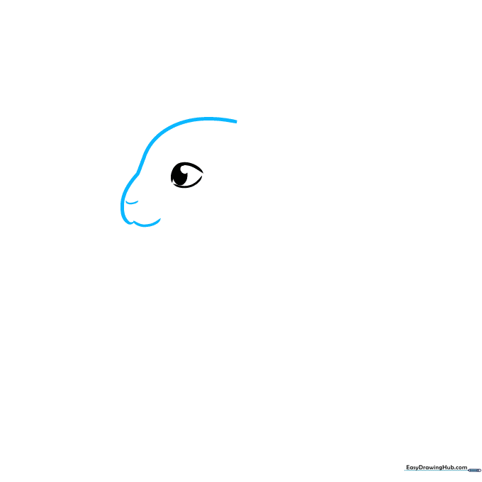 Outline of a bunny face showing the nose and upper lip structure.