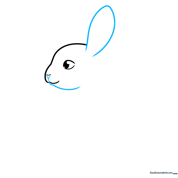 Drawing the bunny's jawline and the initial shape of the first ear.