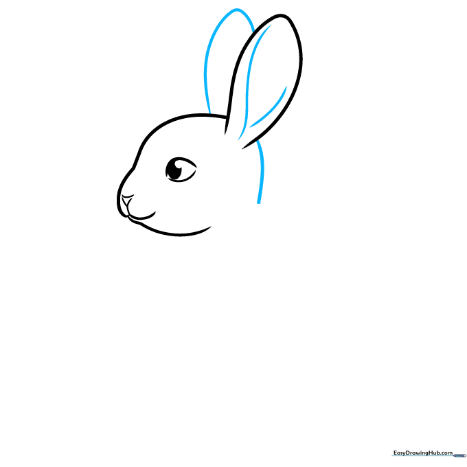 Detailed view of both bunny ears and the back of the head.