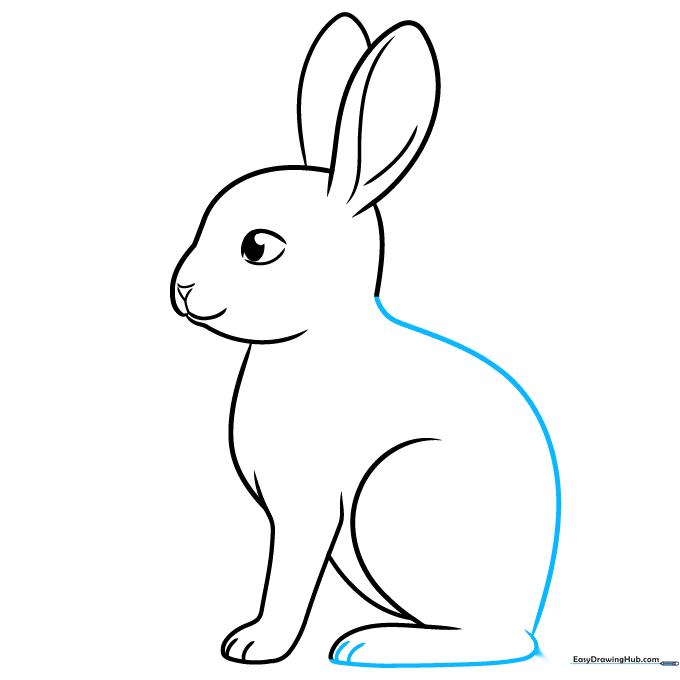 Drawing the bunny's back and the large rear foot structure.