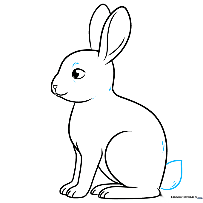Adding a fluffy tail and fur texture lines to the bunny outline.