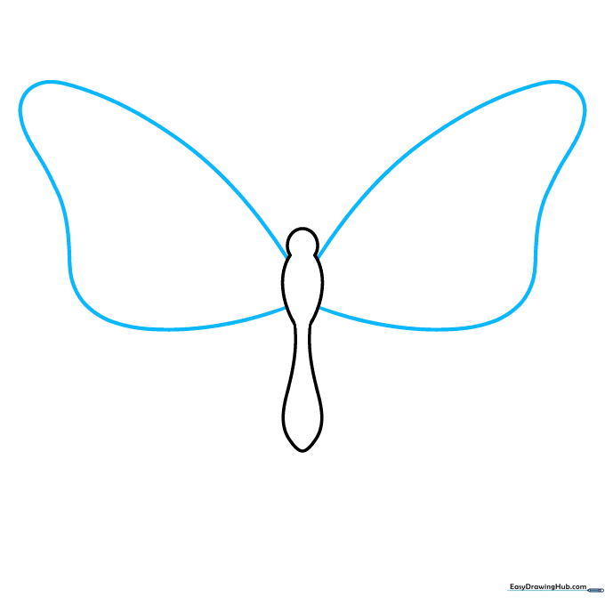 Drawing the large upper wings of a butterfly extending from the central body.