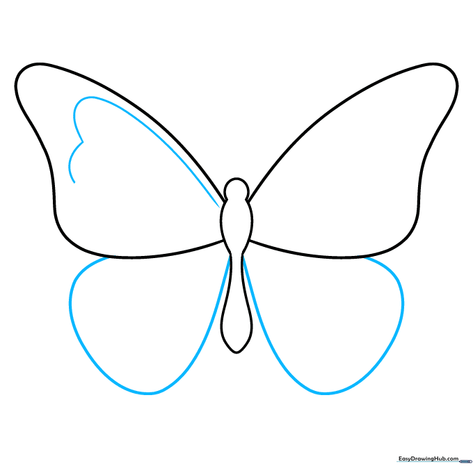 Adding the smaller lower wings and starting the internal wing pattern lines.
