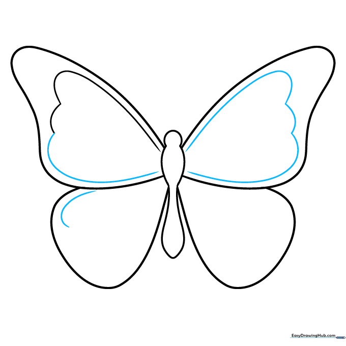 Drawing scalloped patterns along the edges of the butterfly wings.