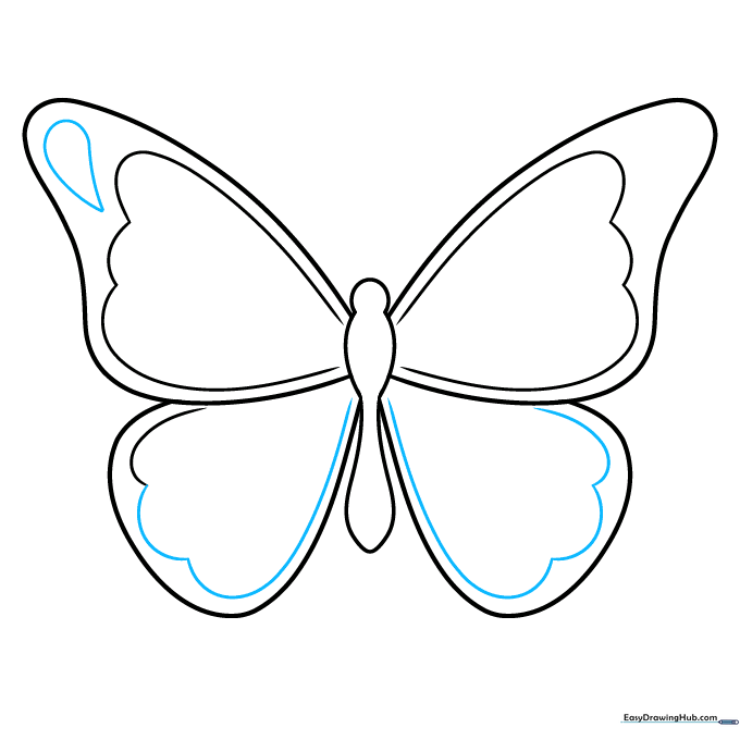 Adding scalloped edges to lower wings and a teardrop detail to the upper wing.
