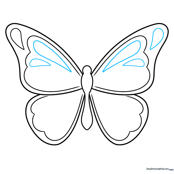 Drawing multiple teardrop-shaped patterns inside the butterfly wing sections.
