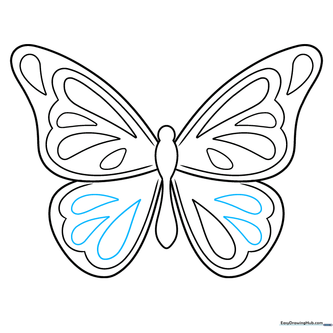 Completing the decorative teardrop patterns across all four butterfly wings.