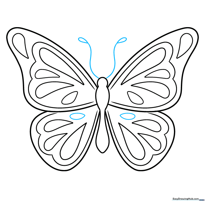 Finalizing the butterfly drawing by adding two delicate antennae with clubbed tips.