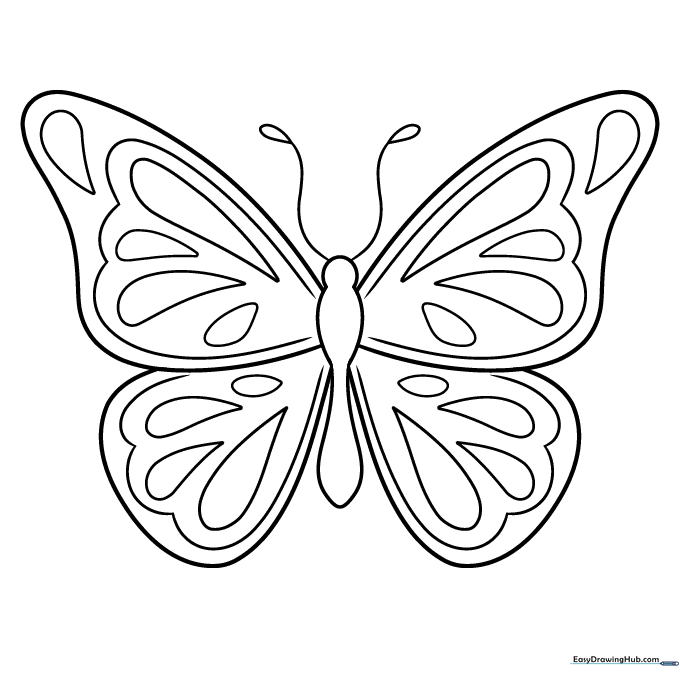A finished, colored butterfly drawing with vibrant wings and detailed patterns.