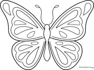 A colorful, finished butterfly drawing displayed as a featured art project.